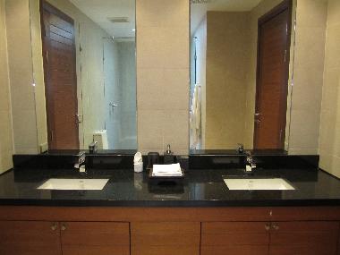 Guest bathroom