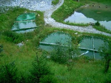 Holiday Apartment in Kleinarl (Pinzgau-Pongau) or holiday homes and vacation rentals