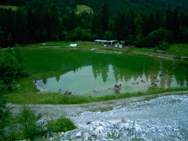 Holiday Apartment in Kleinarl (Pinzgau-Pongau) or holiday homes and vacation rentals