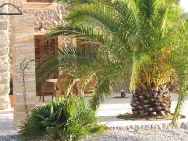 Holiday House in Santa Margalida (Mallorca) or holiday homes and vacation rentals