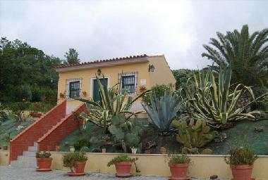 Bed and Breakfast in C�s (Oeste) or holiday homes and vacation rentals