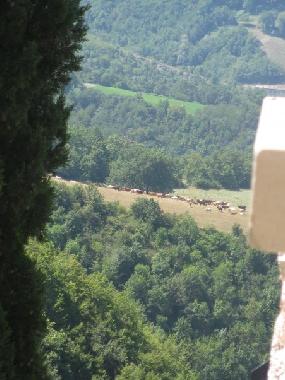 Out of the window 1