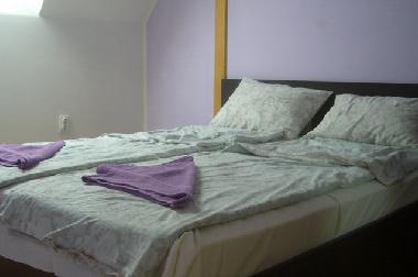 Holiday Apartment in Belgrade (Central Serbia) or holiday homes and vacation rentals