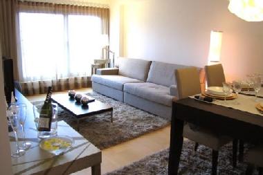 Holiday Apartment in Lisbon (Grande Lisboa) or holiday homes and vacation rentals