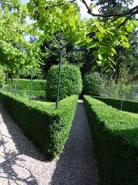 Holiday House in Binago (Como) or holiday homes and vacation rentals