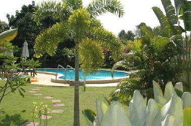 Swimmingpool in the middle of 'green'