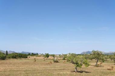 Holiday House in alcudia (Mallorca) or holiday homes and vacation rentals