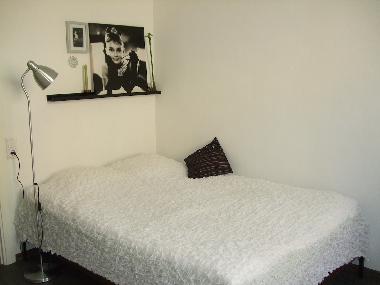 Holiday Apartment in St.Petersburg (Sankt-Peterburg) or holiday homes and vacation rentals