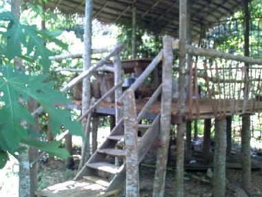 Bird Watching Tree-House