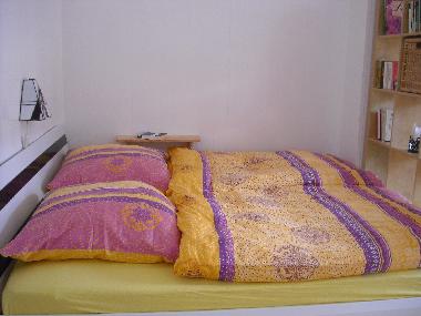 Holiday House in Kaub (Rheintal, Lahn, Taunus) or holiday homes and vacation rentals