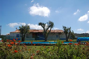 Holiday House in Melides (Alentejo Litoral) or holiday homes and vacation rentals