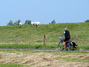 Holiday Apartment in Hooksiel (Nordsee-Festland / Ostfriesland) or holiday homes and vacation rentals