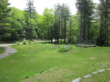 Front Lawn