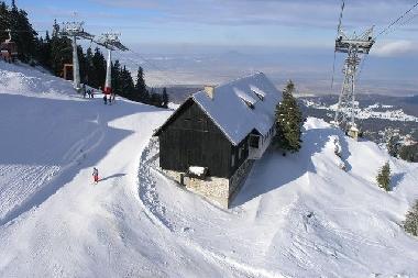 Go skiing at Poiana Brasov !