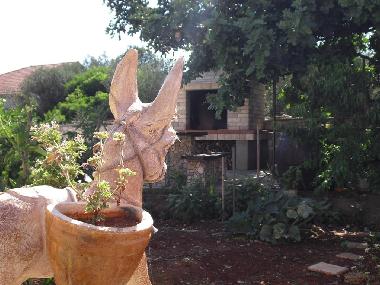 Bed and Breakfast in Vela Luka (Dubrovacko-Neretvanska) or holiday homes and vacation rentals