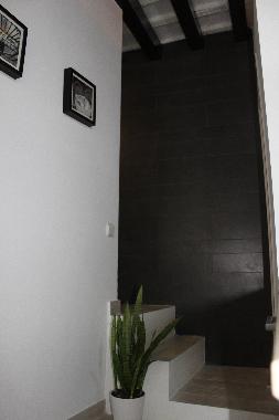 Holiday Apartment in CADIZ (Cdiz) or holiday homes and vacation rentals