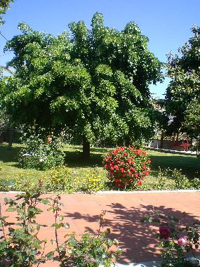Holiday Apartment in Colonella (Teramo) or holiday homes and vacation rentals