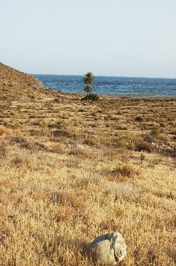 El Carnaje, Rodalquilar