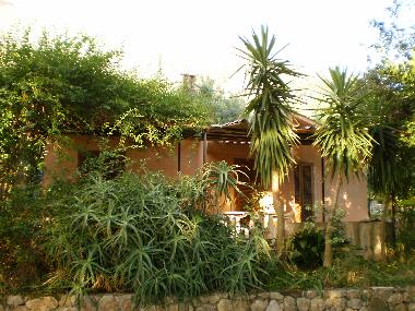 external view of the cottage