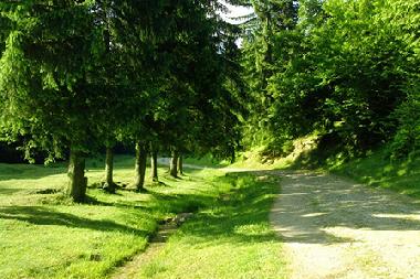 Take a walk from Villa Radu