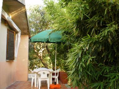 terrace