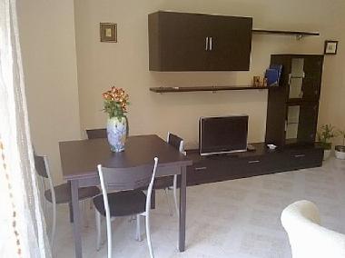 Holiday Apartment in Trani (Bari) or holiday homes and vacation rentals