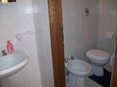 Bathroom n 1 (downstairs)