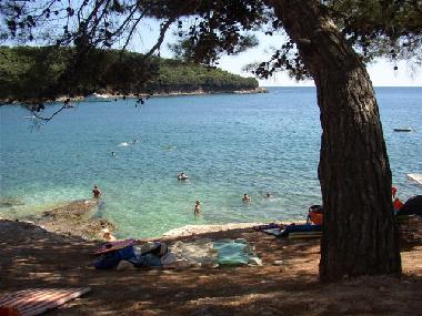 Holiday Apartment in Vinkuran (Istarska) or holiday homes and vacation rentals