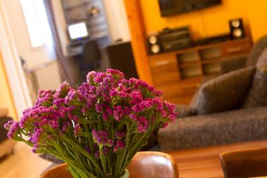 Holiday Apartment in Belgrade (Central Serbia) or holiday homes and vacation rentals