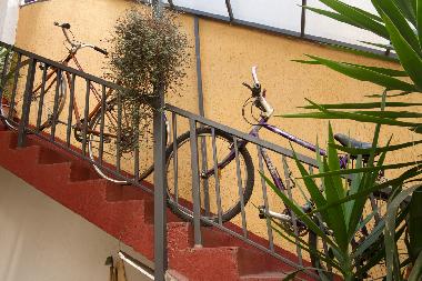 Holiday Apartment in Belgrade (Central Serbia) or holiday homes and vacation rentals