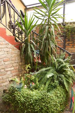 Holiday Apartment in Belgrade (Central Serbia) or holiday homes and vacation rentals