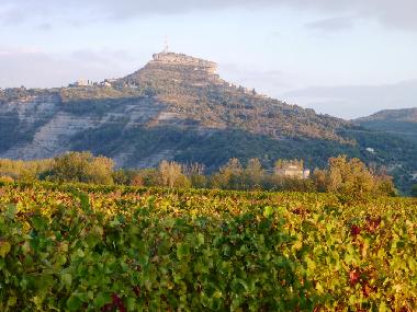 Chalet in St. Alban Auriolles (Ardche) or holiday homes and vacation rentals