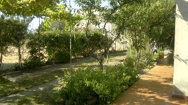 Holiday House in pula (Cagliari) or holiday homes and vacation rentals