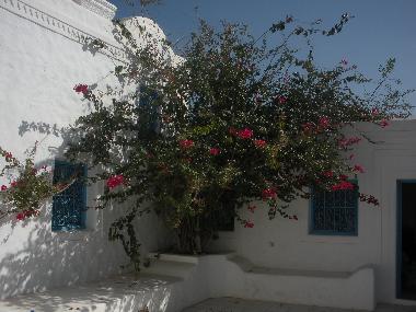 Bed and Breakfast in Houmt Souk DJERBA (Madanin) or holiday homes and vacation rentals