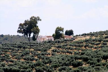 Holiday Apartment in Hornachos (Badajoz) or holiday homes and vacation rentals