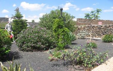 Holiday Apartment in Puerto Calero / Macher (Lanzarote) or holiday homes and vacation rentals