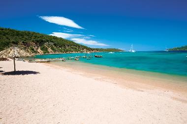 Villa in 20169 (Corse-du-Sud) or holiday homes and vacation rentals