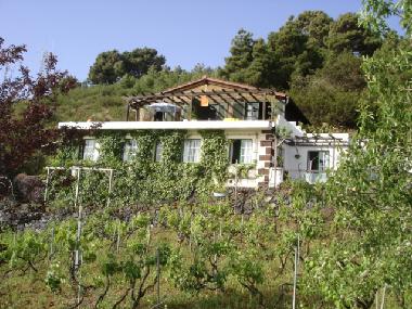 View  of apartments 1 to 4