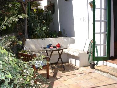 Terrace apartment  1