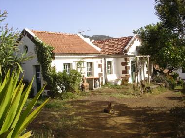 Junior house