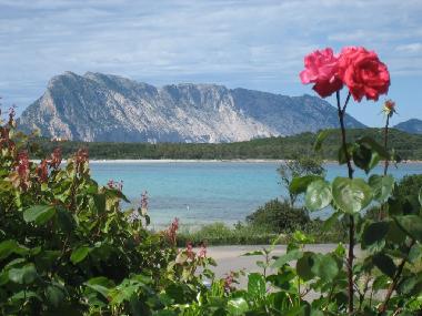 Holiday Apartment in Budoni / Solita (Olbia-Tempio) or holiday homes and vacation rentals