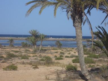 Holiday Apartment in midoun (Madanin) or holiday homes and vacation rentals