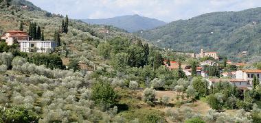 View of the nearby hill.