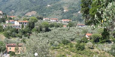Pescia. 