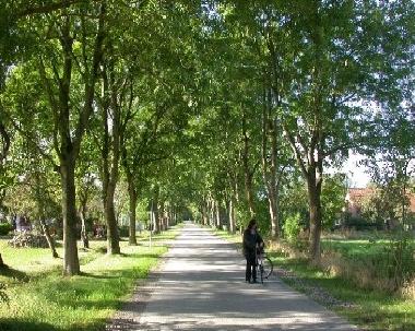 Holiday Apartment in Leybuchtpolder - Norden (Nordsee-Festland / Ostfriesland) or holiday homes and vacation rentals