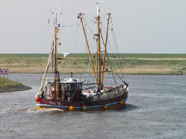 Holiday Apartment in Leybuchtpolder - Norden (Nordsee-Festland / Ostfriesland) or holiday homes and vacation rentals