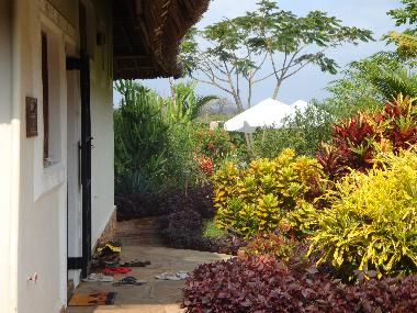 Holiday House in Diani (Coast) or holiday homes and vacation rentals