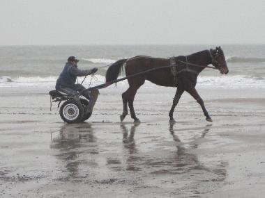 Holiday House in Callantsoog (Noord-Holland) or holiday homes and vacation rentals