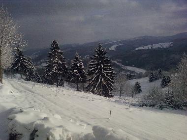 Holiday House in freconrupt (Bas-Rhin) or holiday homes and vacation rentals