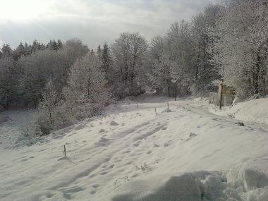 Holiday House in freconrupt (Bas-Rhin) or holiday homes and vacation rentals